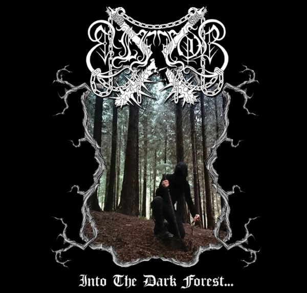 «INTO THE DARK FOREST…» CD